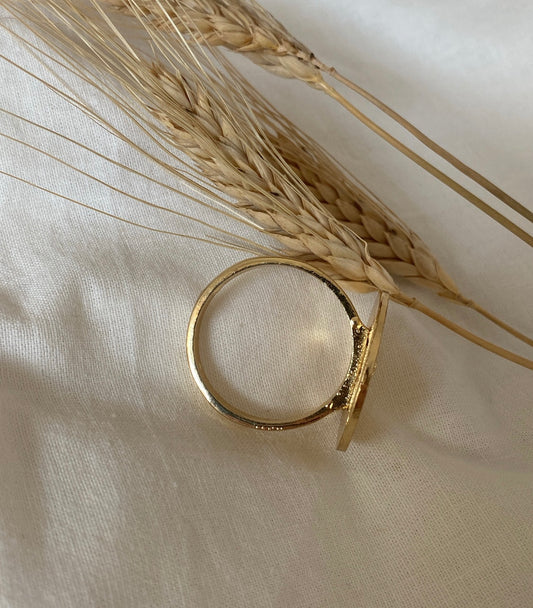 ANILLO PARA MANTONCILLO