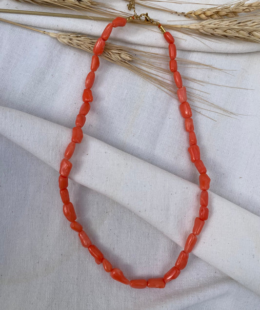 CORALES SALMON